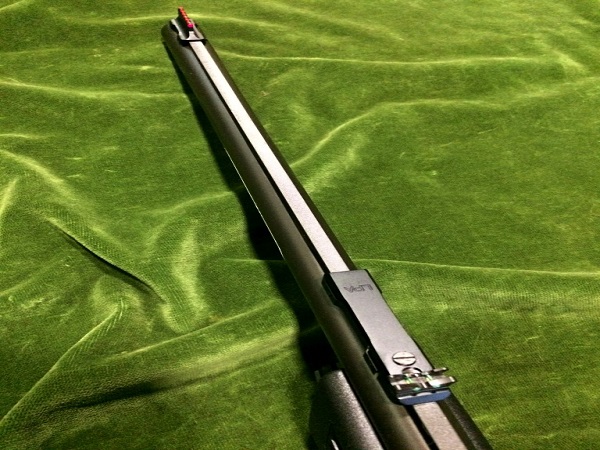 ΦΥΣΙΓΓΙΑ ΖΙΤΑ